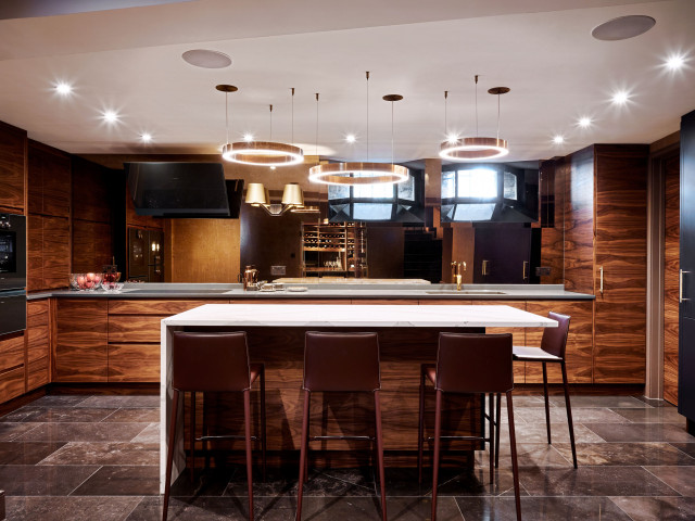 Basement kitchen contemporary-kitchen