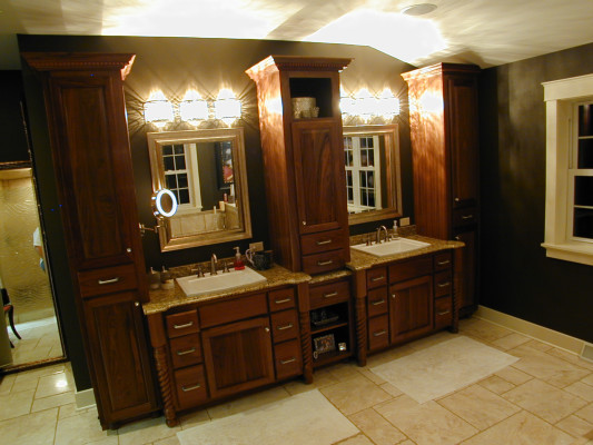 Example of a transitional home design design in Milwaukee