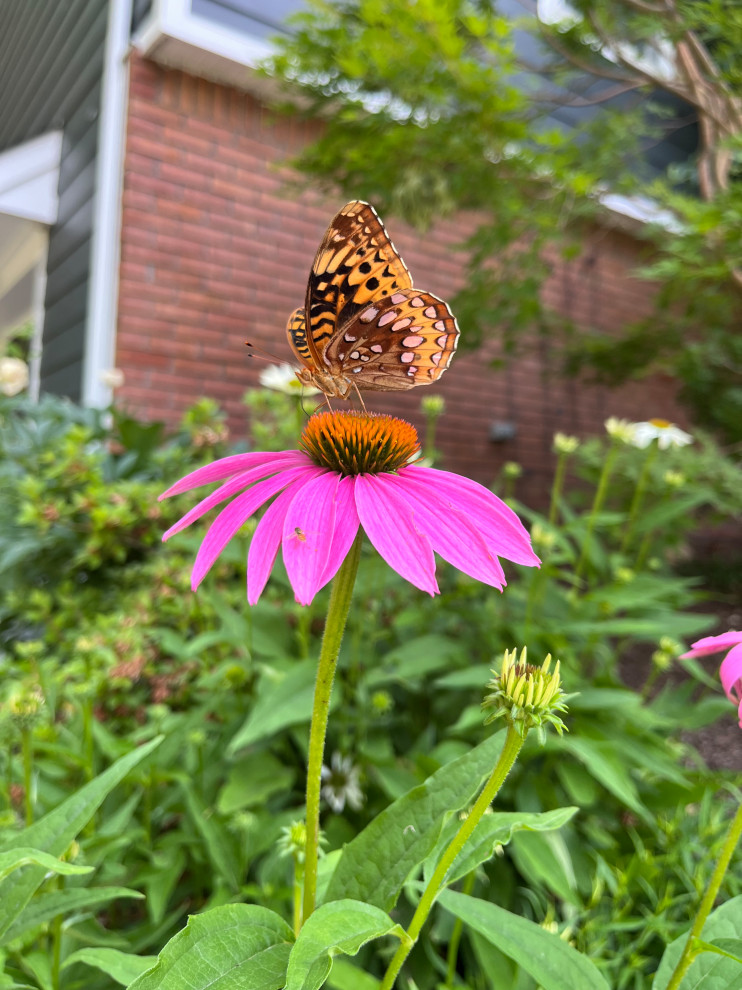 Fine Gardening