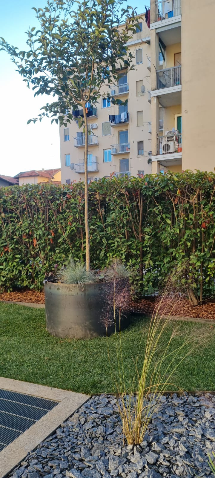 Realizzazione Inner Garden