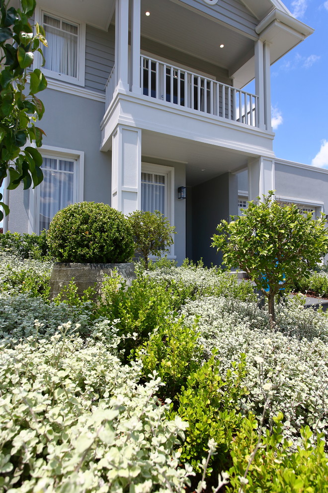 Design ideas for a small contemporary front yard full sun formal garden in Sydney with a garden path.
