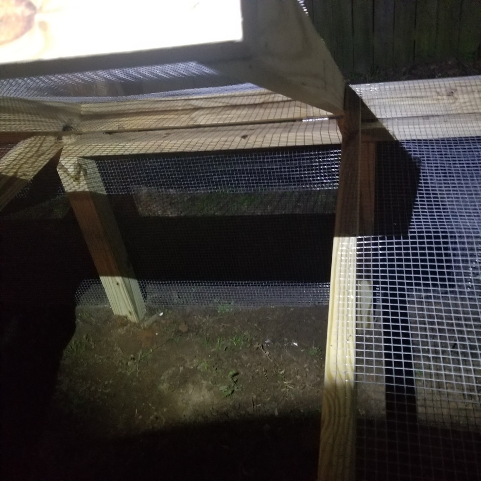 Chicken Run
