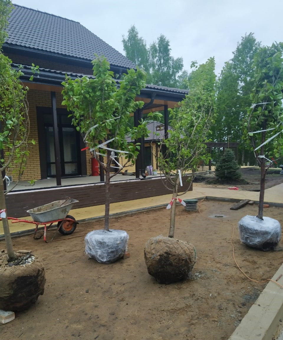 В работе 2022 и старше