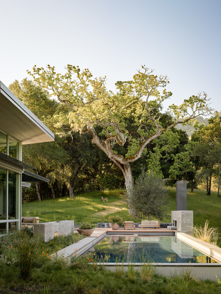 Design ideas for a contemporary backyard rectangular pool in San Francisco.