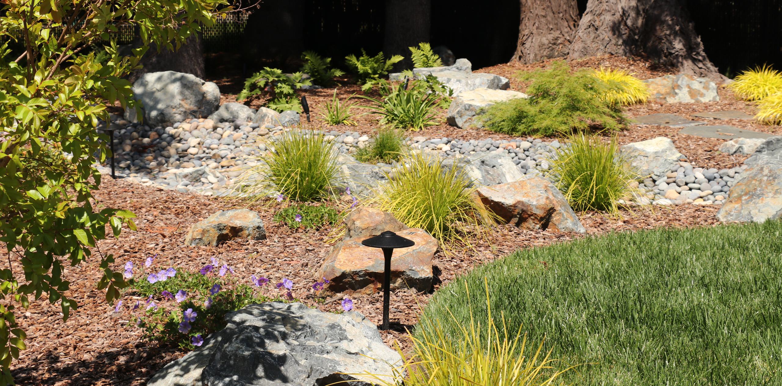 FRONT YARD WITH TREES AND DRY-CREEK