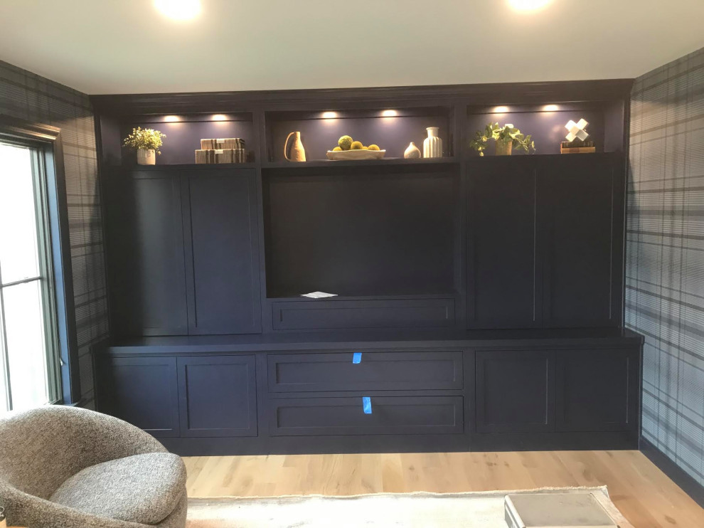 TV/Entertainment Systems