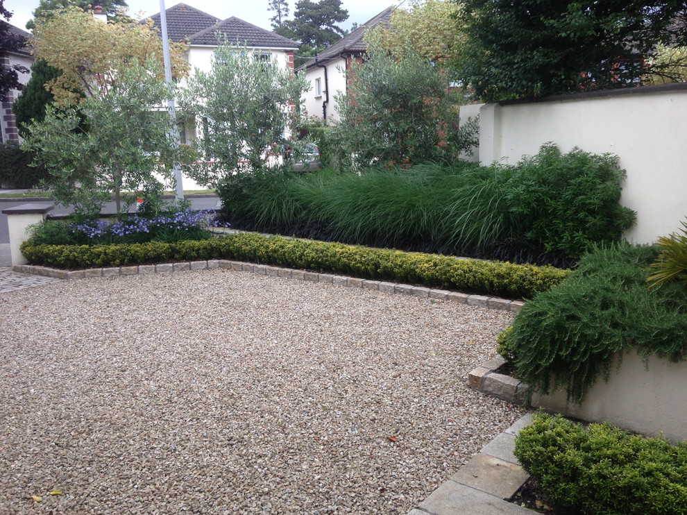 This is an example of a contemporary garden in Dublin.