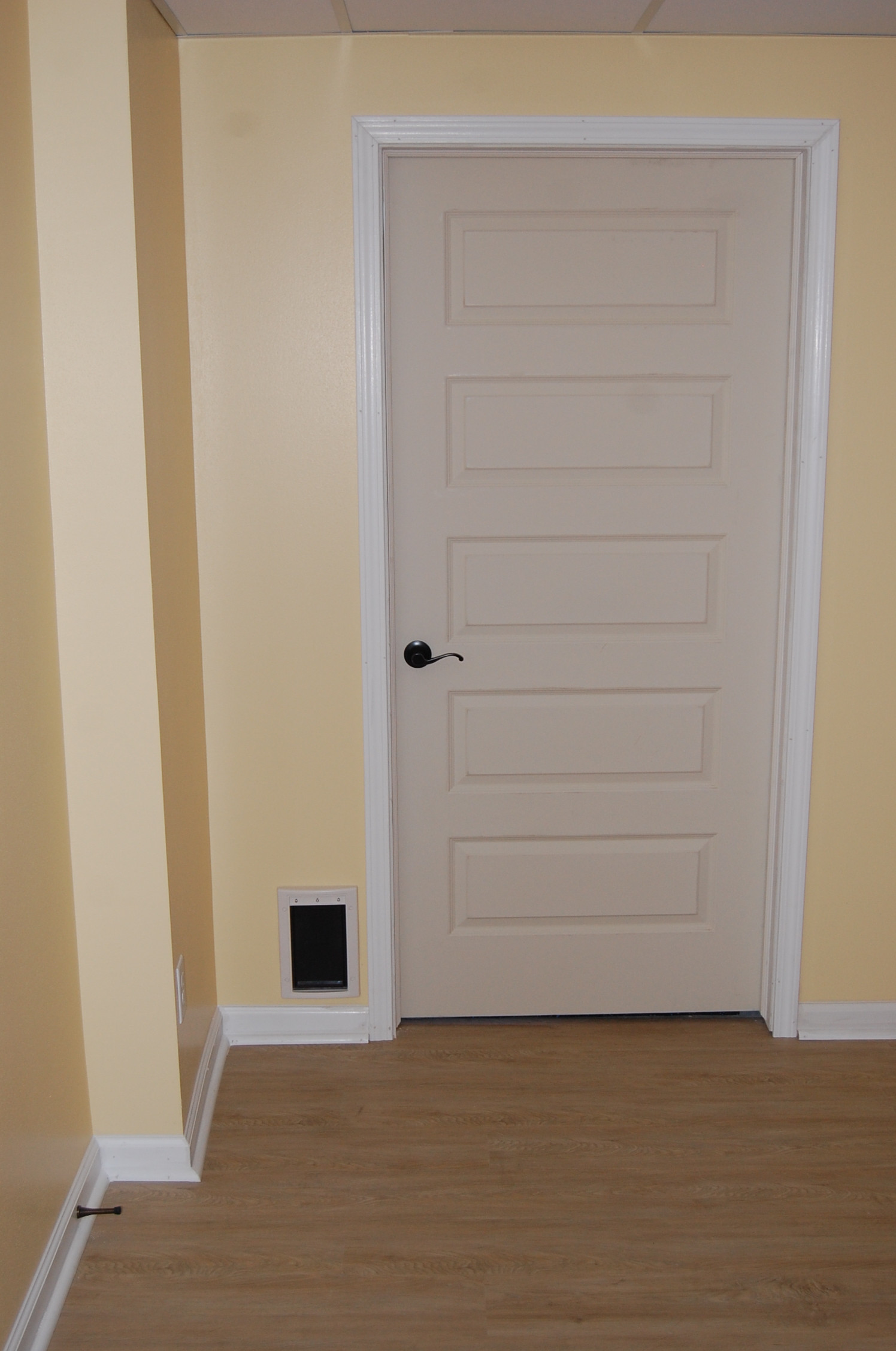 Basement office and work out area