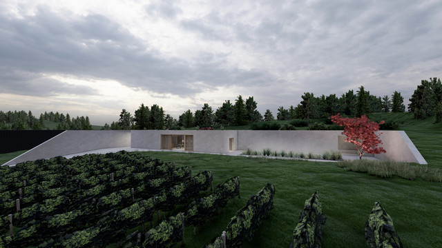 Haus K modern-fasad