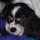 Last commented by Jeanie Ratliff
