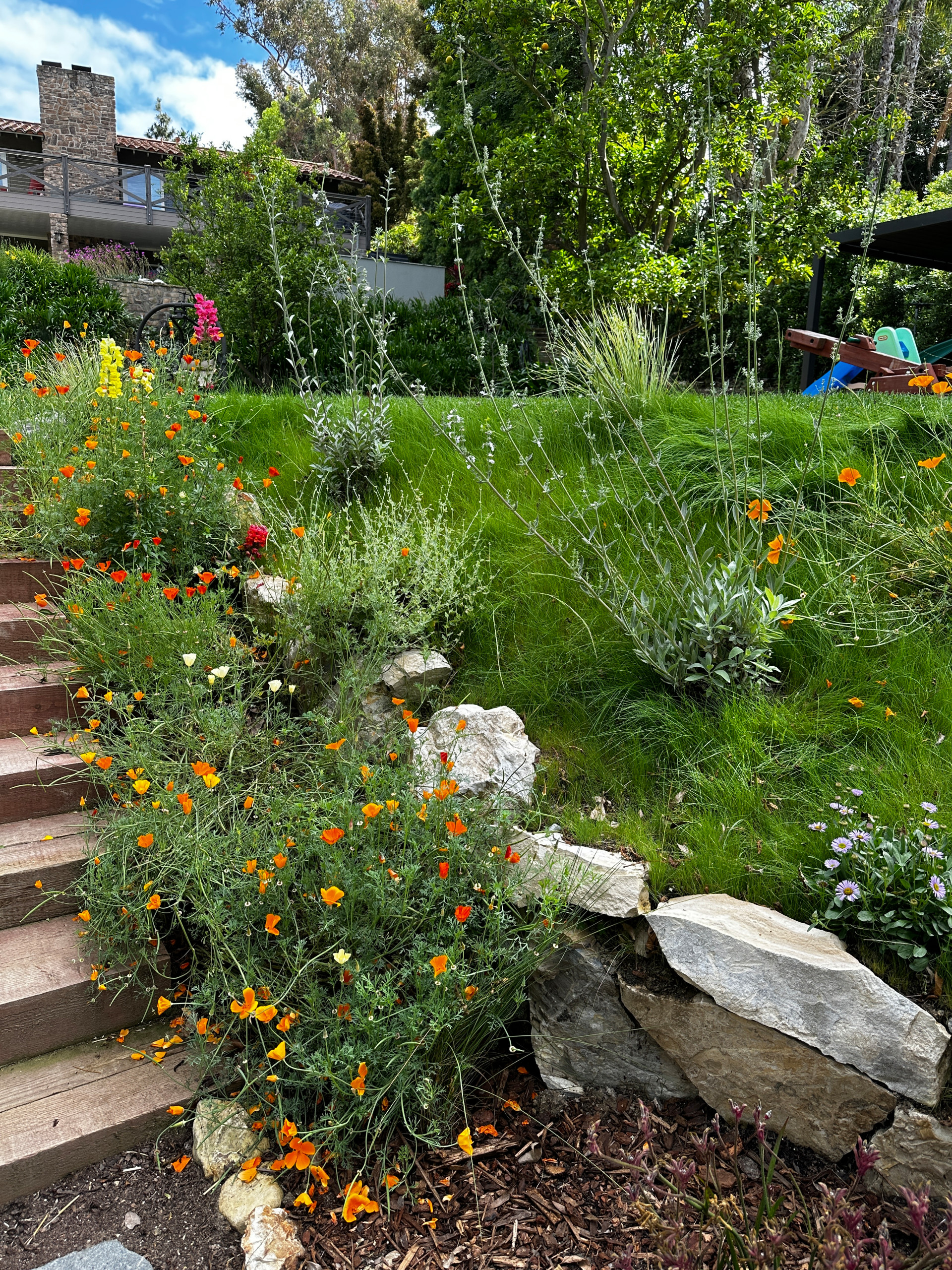 Childhood Oasis