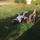robin_fournier68