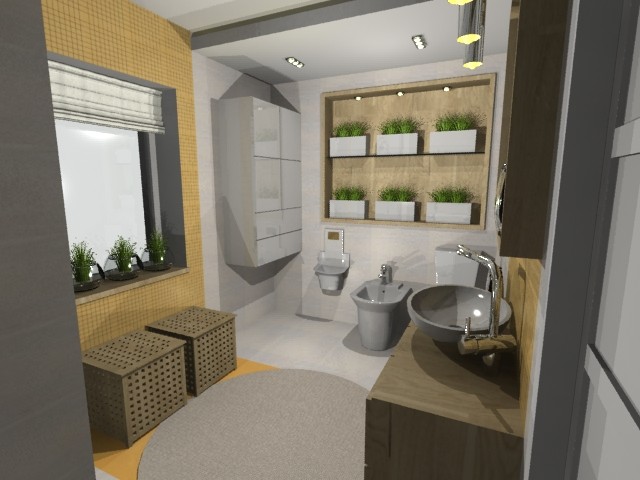 Сан.узел в частном доме