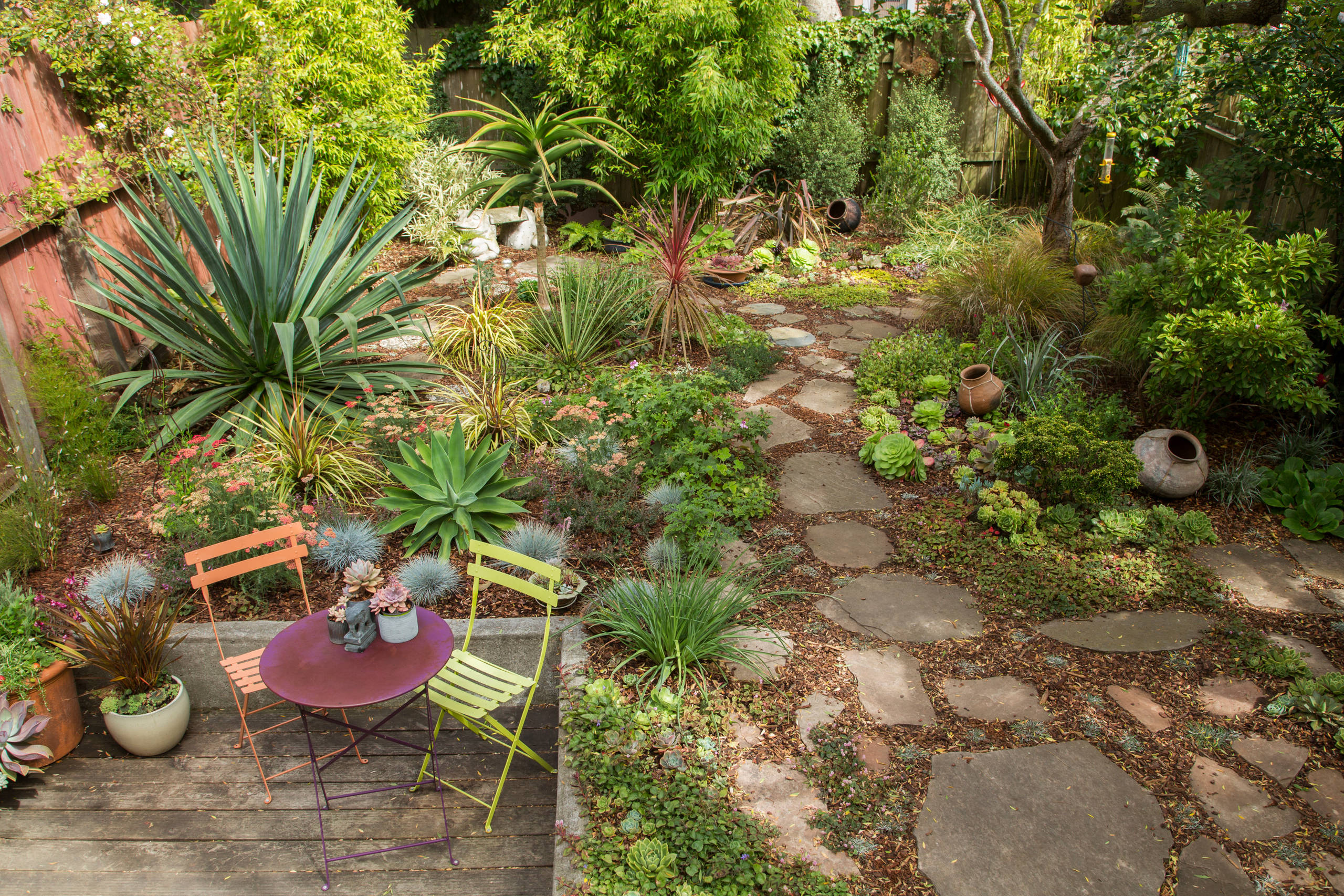 Succulents Beautify a San Francisco Shade Garden