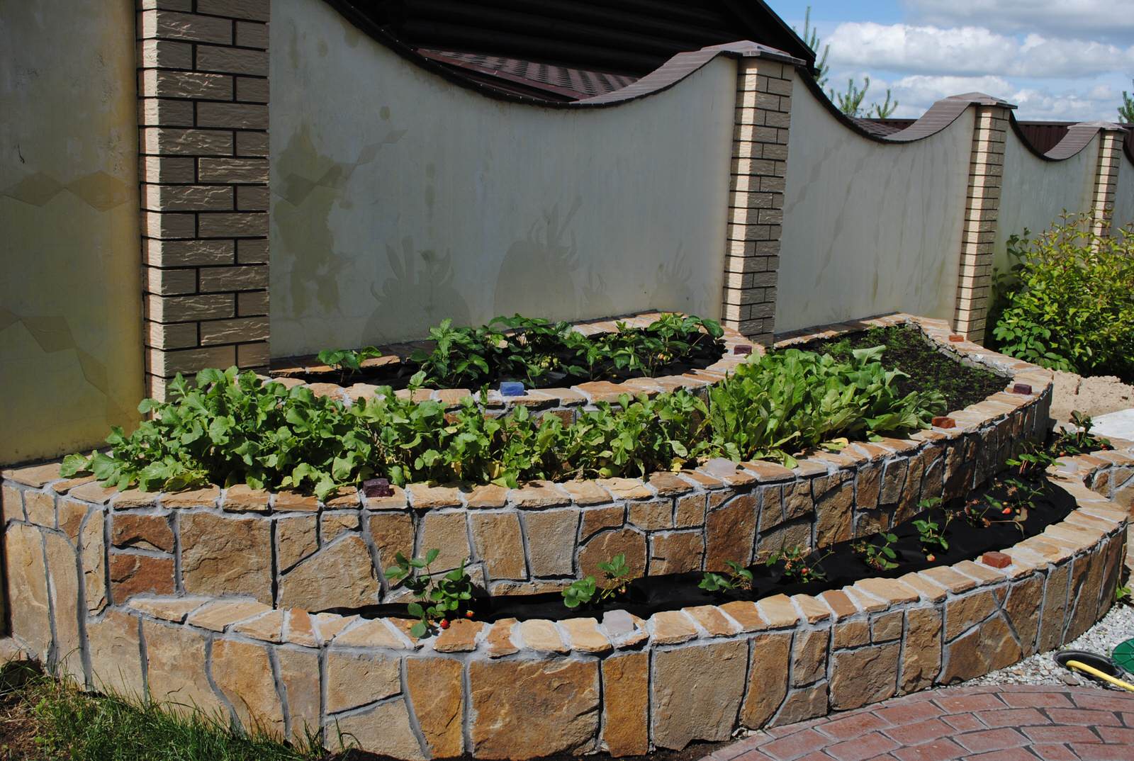 КП Серебряная подкова