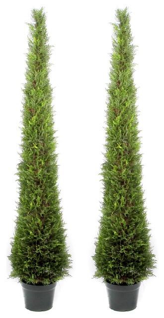 6 Feet Artificial Cypress Tower Cone Topiary Tree In Plastic Pot Green Set Of Contemporary Artificial Plants And Trees By Admired By Nature