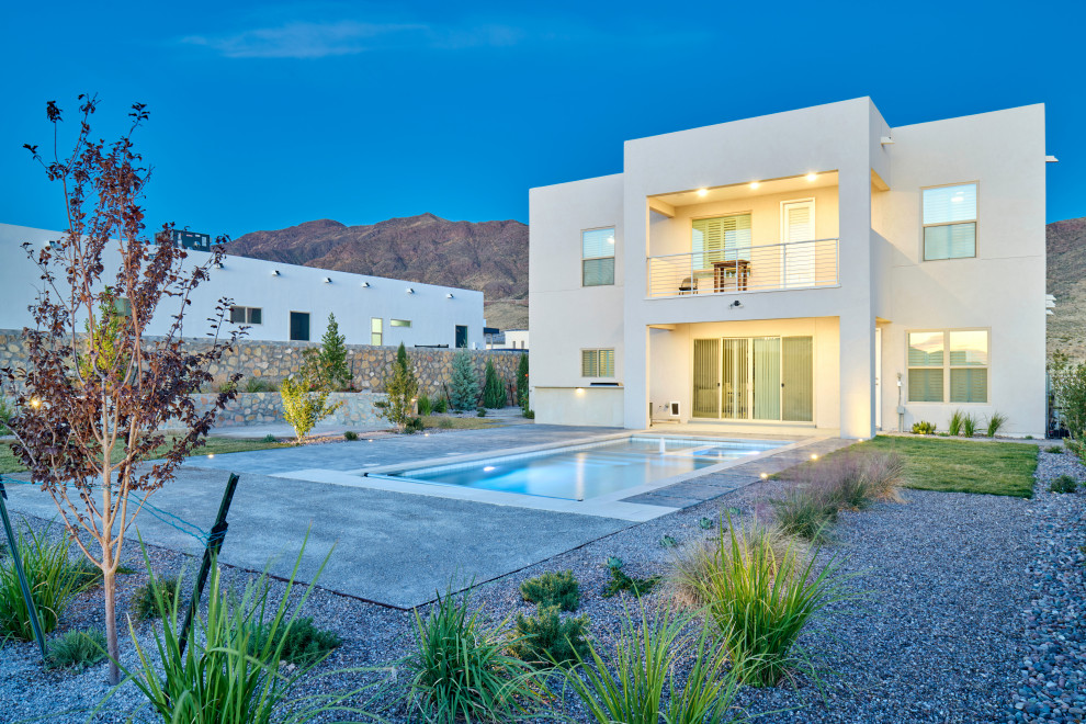 Immagine di una piscina naturale design rettangolare di medie dimensioni e dietro casa con paesaggistica bordo piscina e lastre di cemento