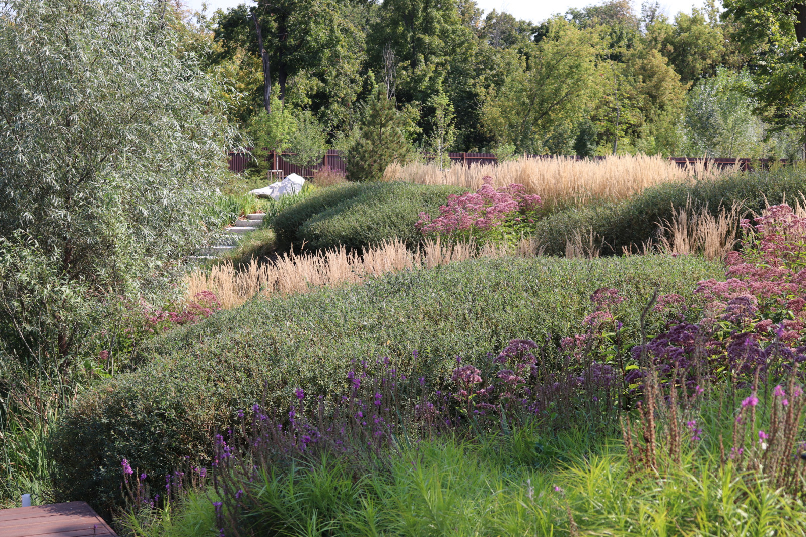 WB Берег пруда (август)