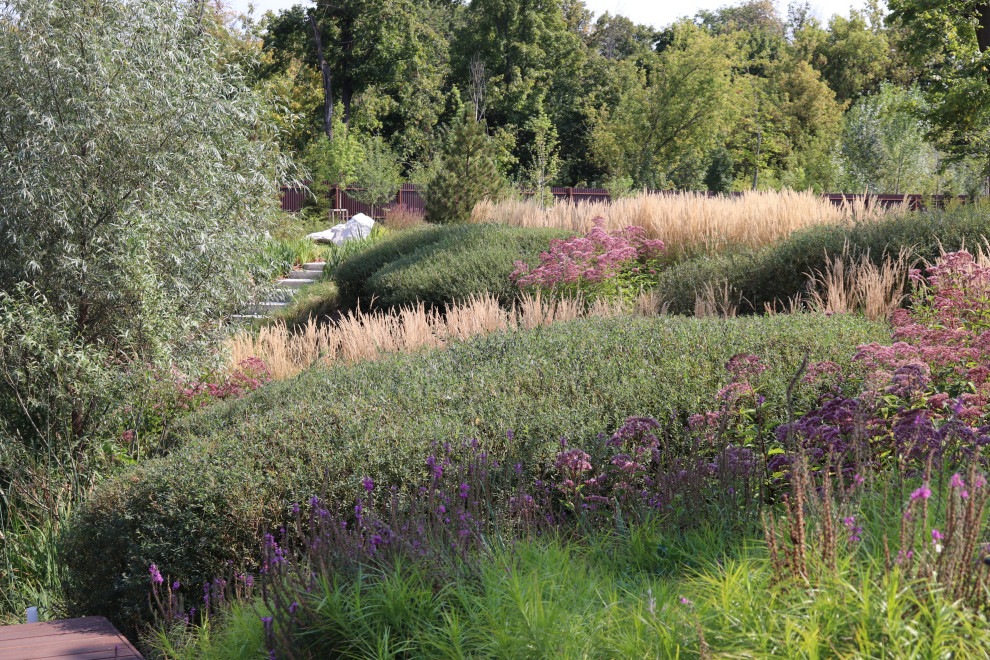 WB Берег пруда (август)