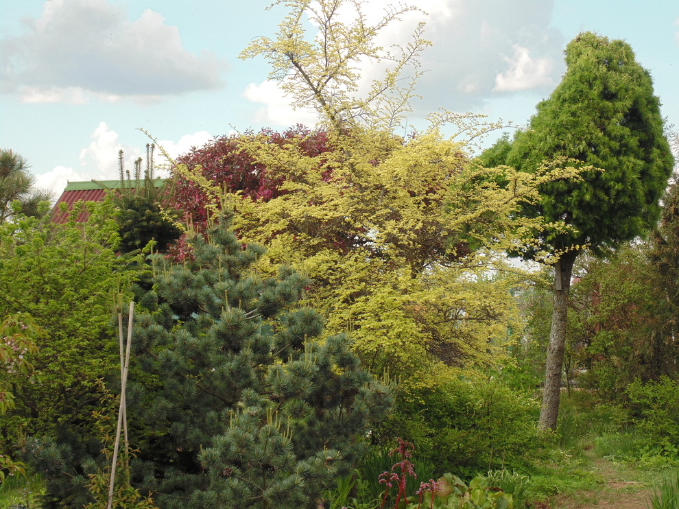 Наш собственный сад