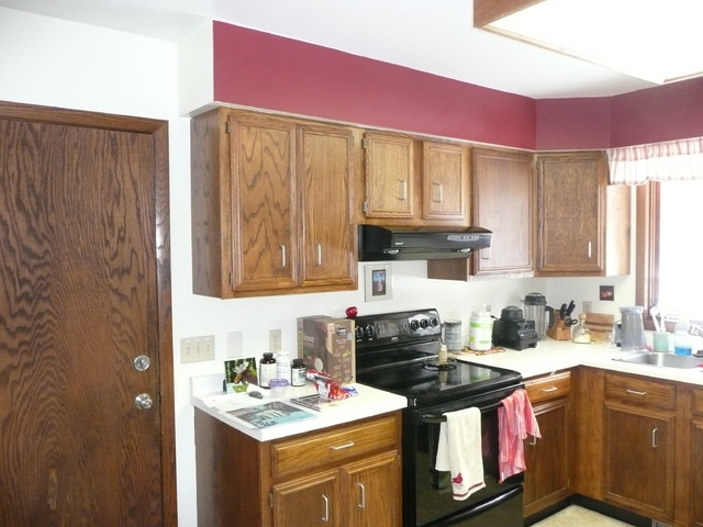 Dark dated kitchen transitional