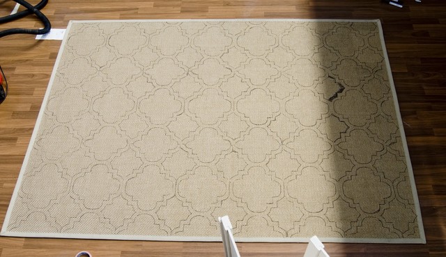 DIY Rug 