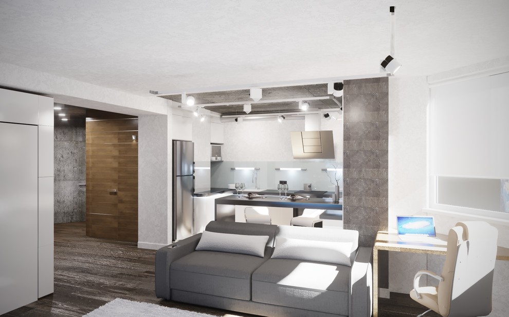 Холостяцкая квартира (гостиная/кухня)