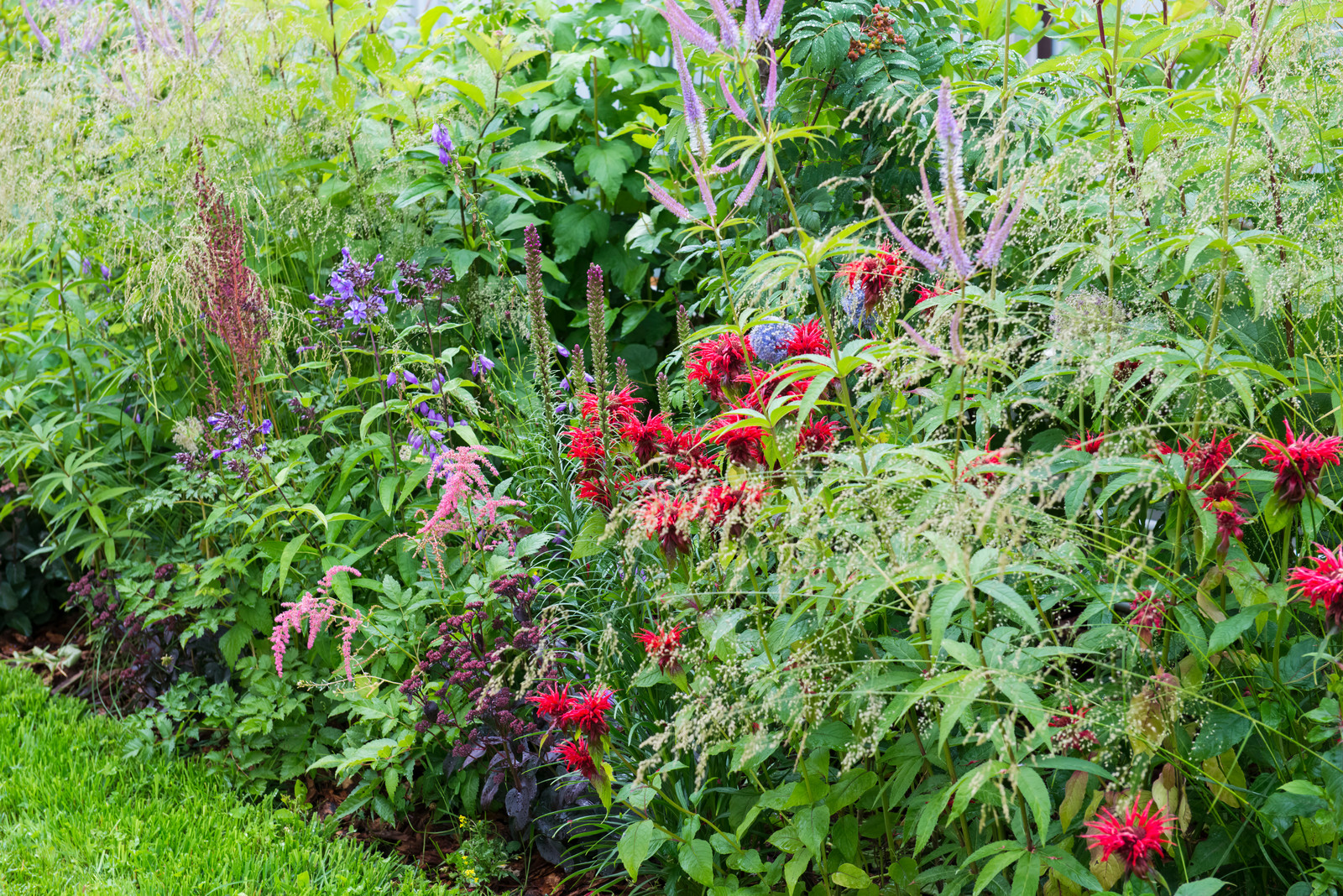 "Горячий" бордюр из многолетников