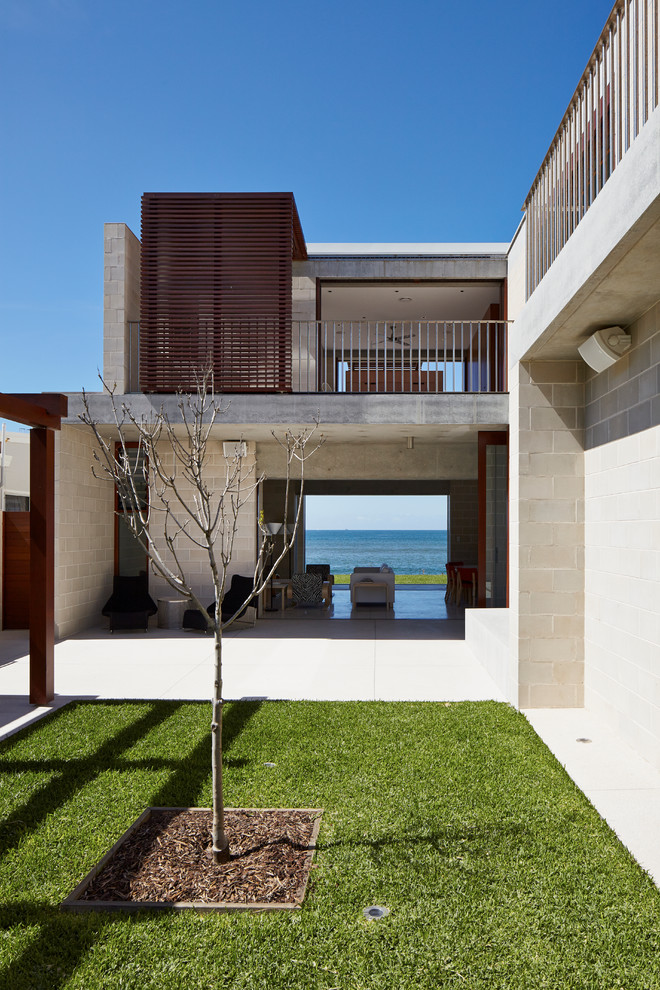 This is an example of a mid-sized contemporary courtyard full sun xeriscape in Sydney.