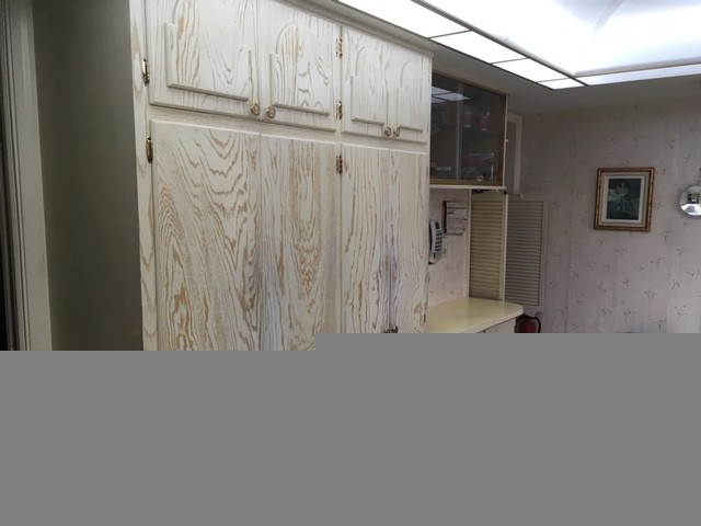 Schweitzer's painted kitchen