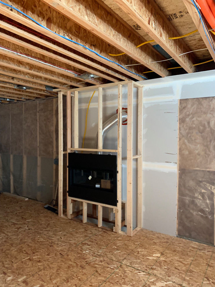 Basement Development
