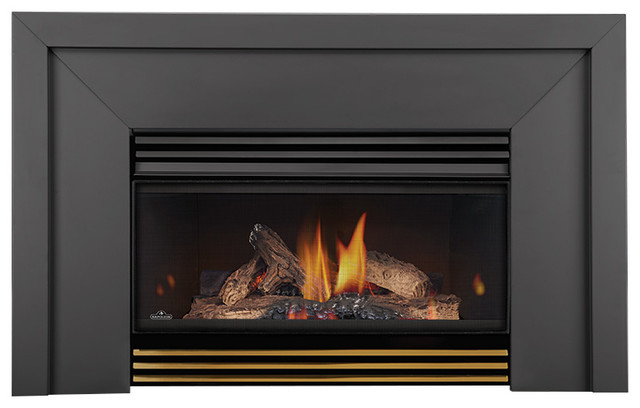 Napoleon Roxbury 3600 Gi3600 Gas Fireplace Insert With Black