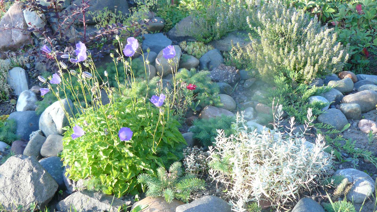 альпийская горка