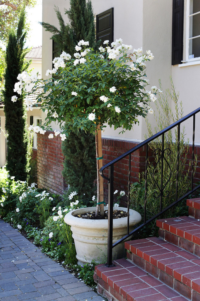 Design ideas for a traditional garden in Los Angeles with a container garden.