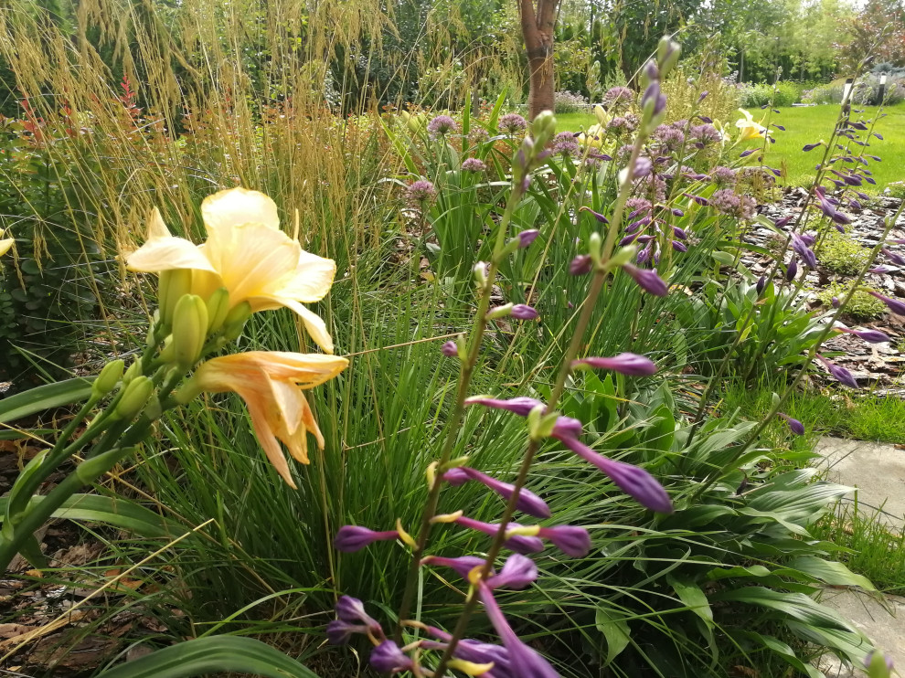 Благоустройство участка 20 соток в КП Пестово