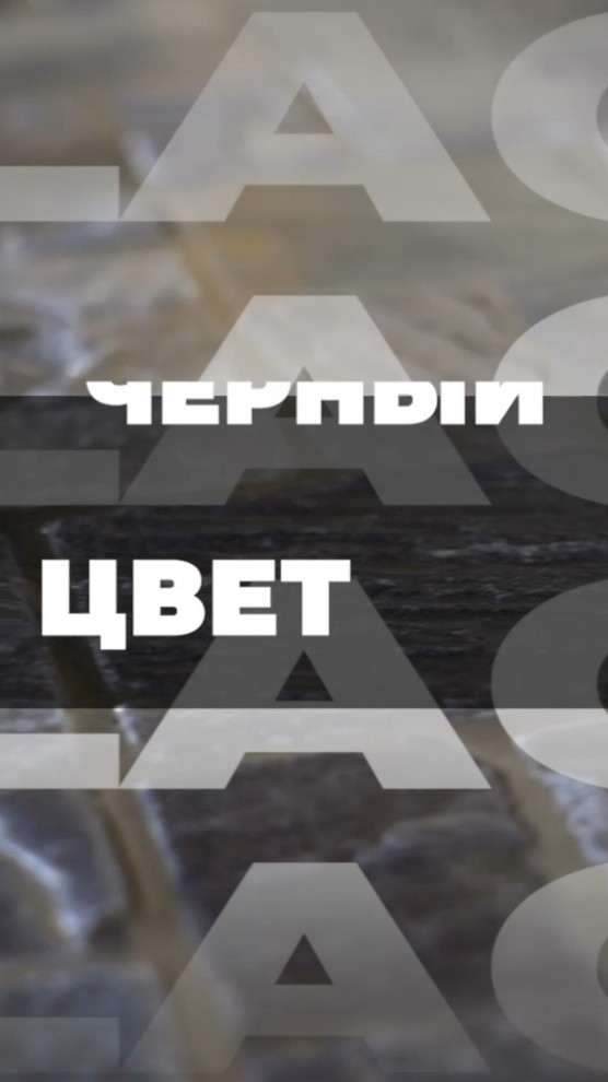 -8653815853242801692.mp4