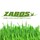 ZABOS Artificial Grass Installation & Service