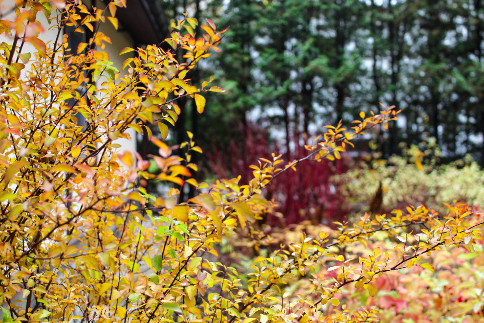 Генеральские дачи