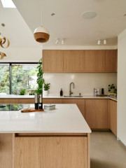 Houzz Tour: A 1960s Bungalow Gets an Airy, Biophilic Redesign