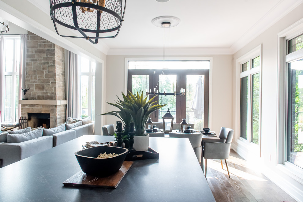 Transitional home design photo in Toronto