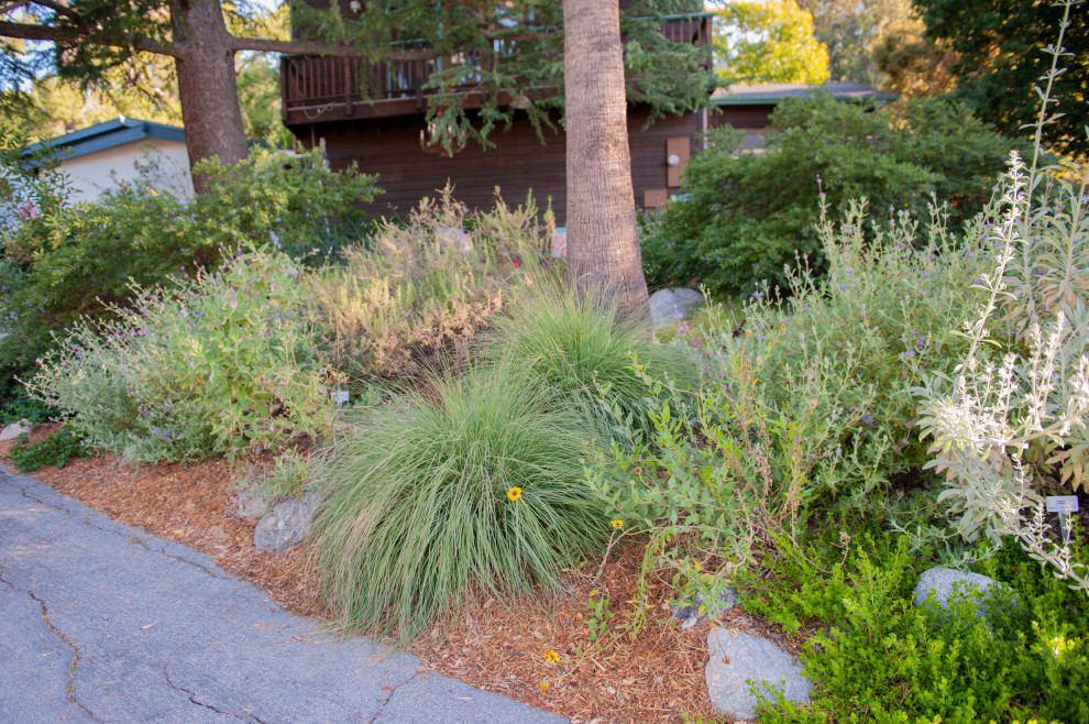 Großer, Halbschattiger Rustikaler Vorgarten im Frühling mit Rasenkanten, Natursteinplatten und Holzzaun in Los Angeles