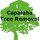 Capalaba Tree Removal Wynnum