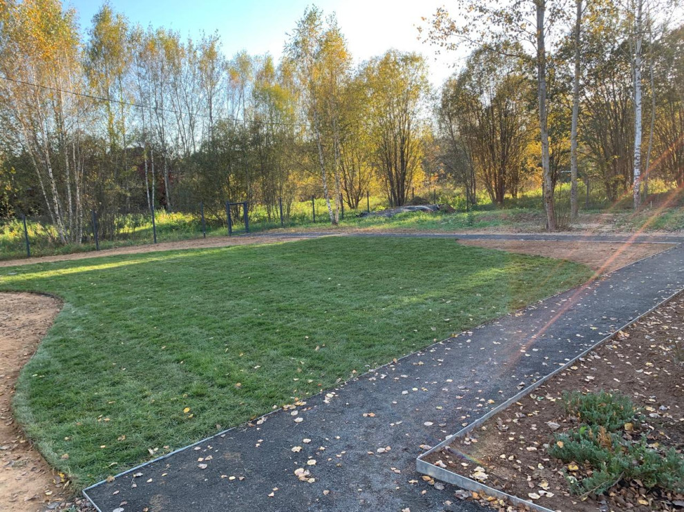 Проект " В тонких линиях "