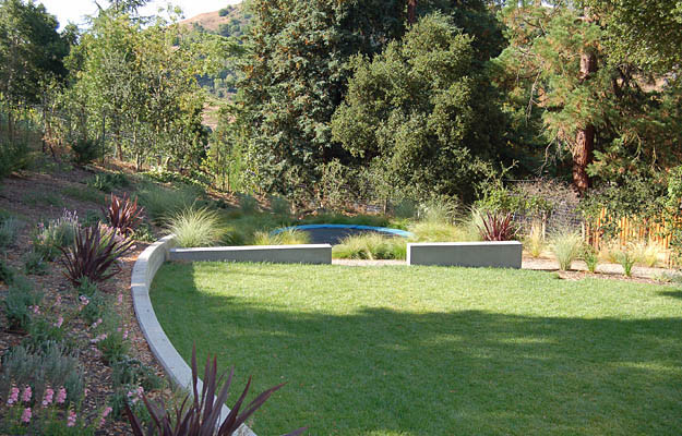 Photo of a contemporary garden in San Francisco.