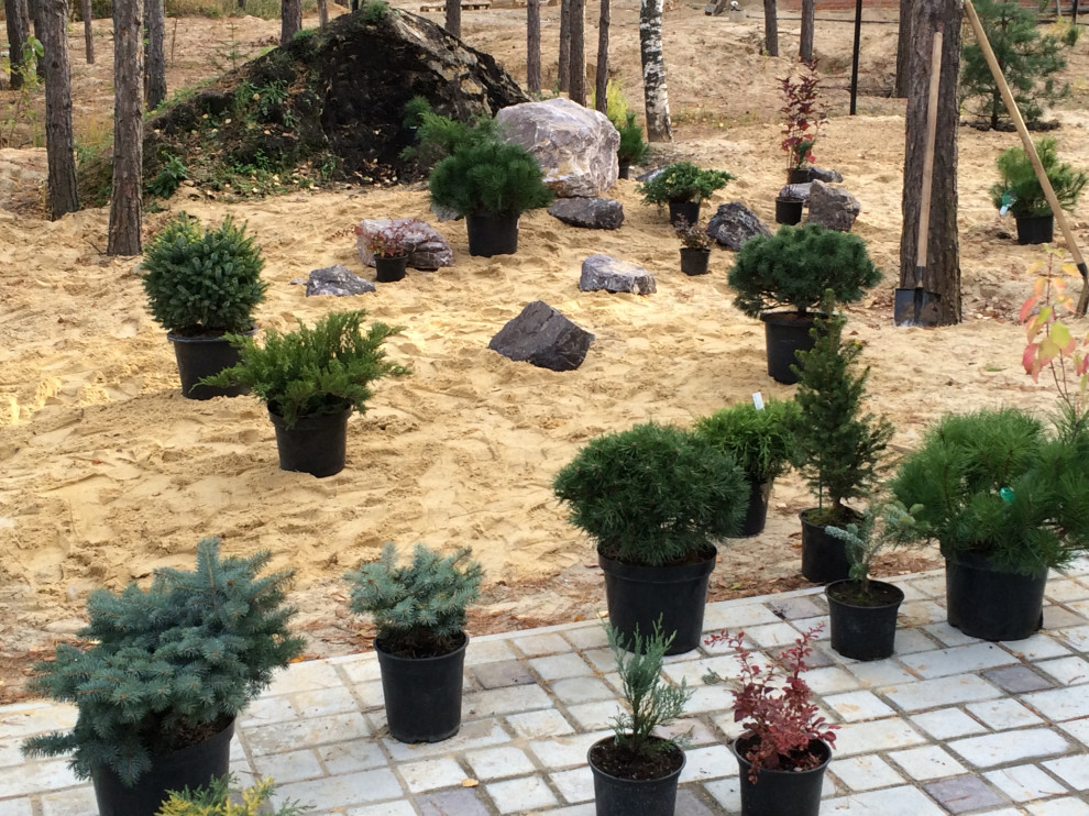 Лесная сказка Марий Эл. Сад в стиле Naturgarden