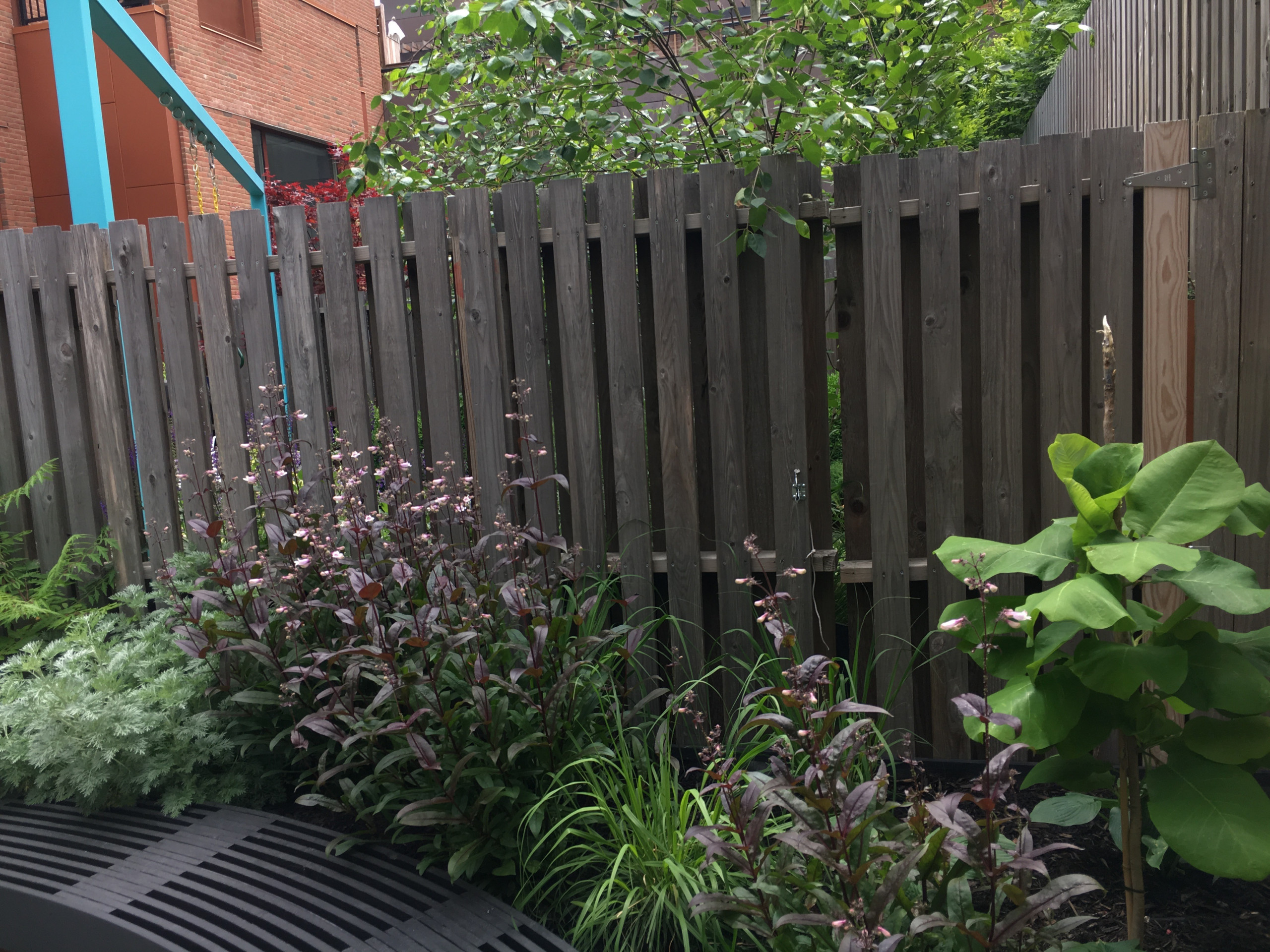 Modern Garden with Curved Corten Border