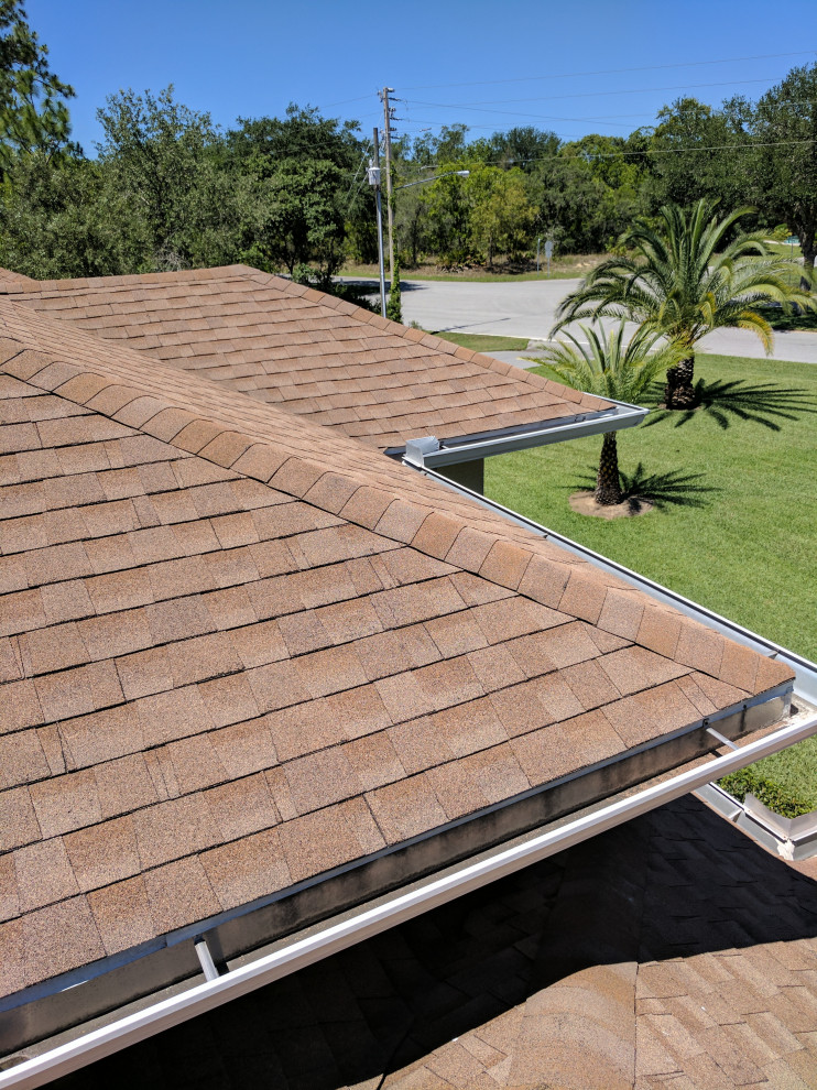 Shingle Roof