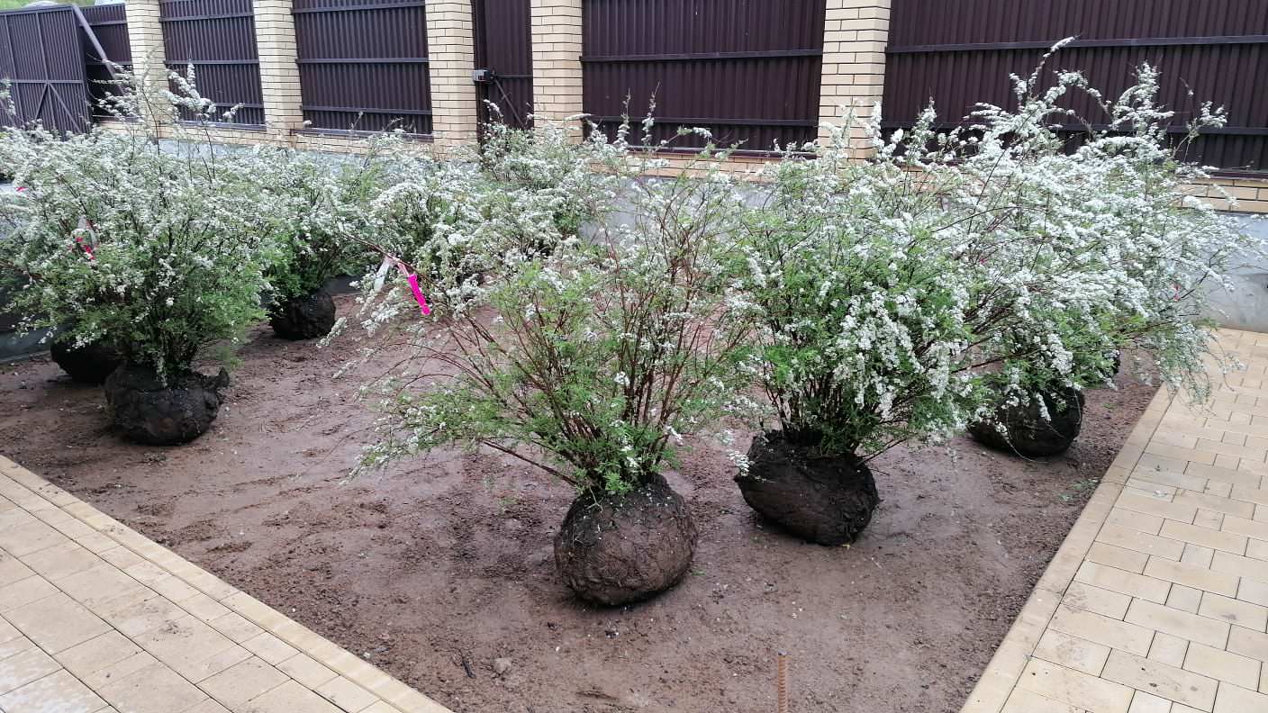 В работе 2022 и старше