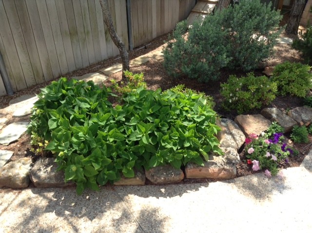 Inspiration for a mediterranean landscaping in Dallas.