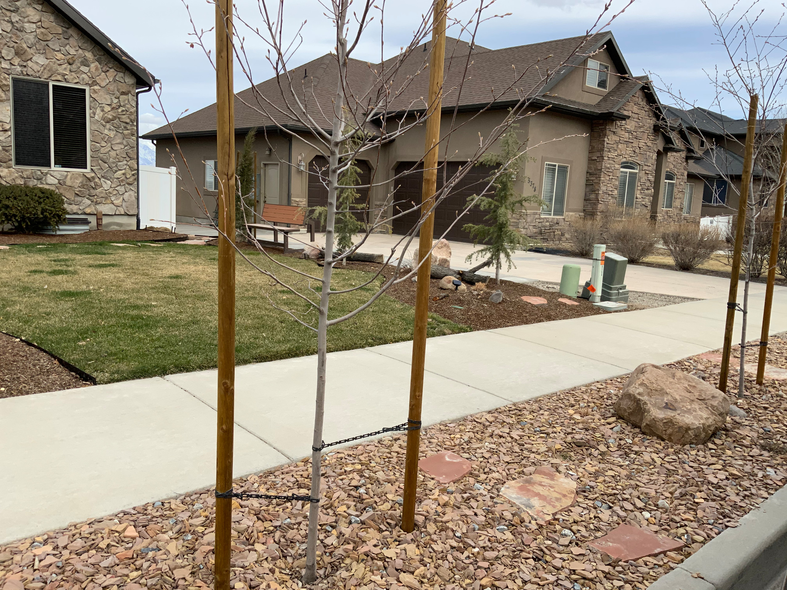 Neighborhood Friendly Front Yard